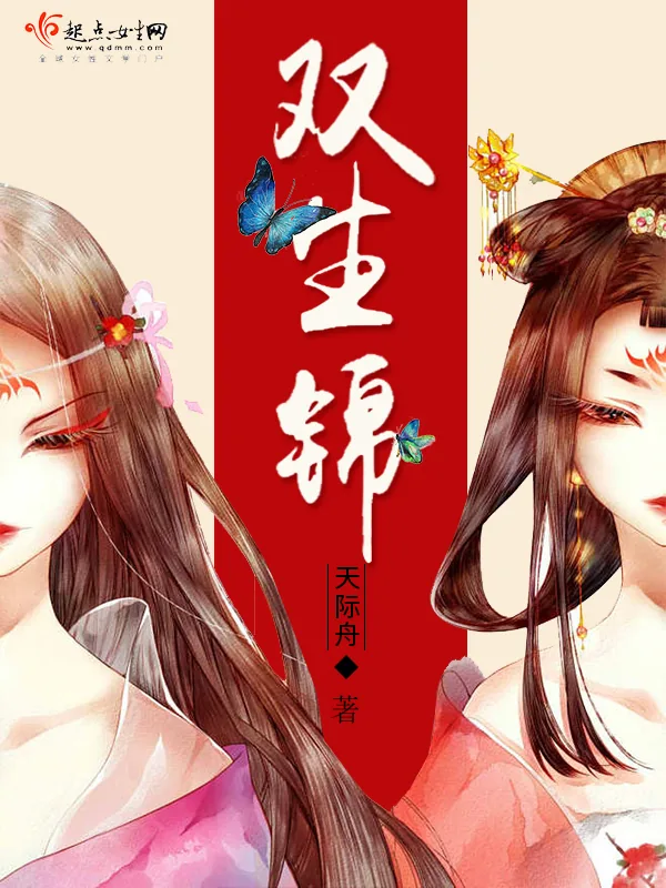 《双生锦》小说封面