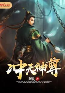 《冲天神尊》小说封面