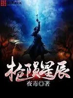 《枪陨星辰》小说封面
