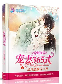 《隐婚试爱:宠妻365式》小说封面