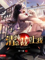 《清纯总裁爱上我》小说封面