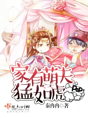 《家有萌夫猛如虎》小说封面