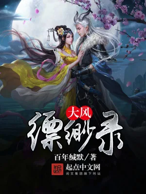 《大风缥缈录》小说封面