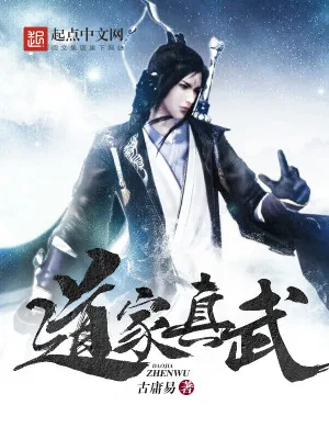 《道家真武》小说封面