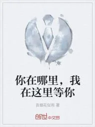 《你在哪里，我在这里等你》小说封面