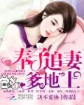 《奉子追妻：爹地，上！》小说封面