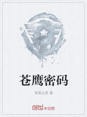 《苍鹰密码》小说封面