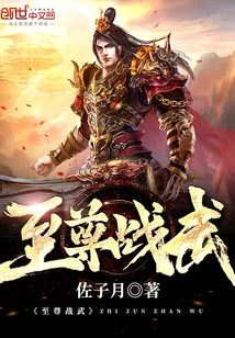 《至尊战武》小说封面