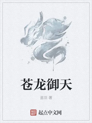 《苍龙御天》小说封面