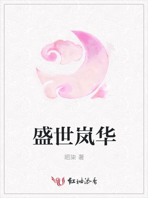 《盛世岚华》小说封面