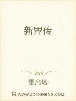 《新界传》小说封面