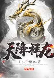 《天降祥龙》小说封面
