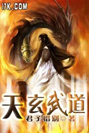 《天玄武道》小说封面