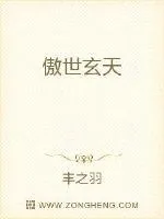 《傲世玄天》小说封面