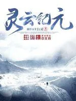 《灵云纪元》小说封面