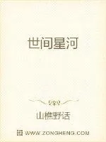 《世间星河》小说封面