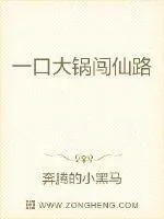 《一口大锅闯仙路》小说封面
