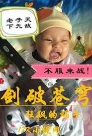 《剑破苍穹》小说封面