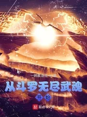 《从斗罗无尽武魂开始》小说封面