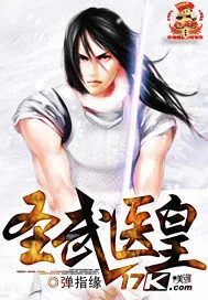 《圣武医皇》小说封面