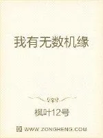 《我有无数机缘》小说封面