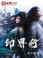 《印界行》小说封面