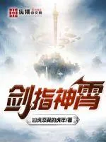 《剑指神霄》小说封面