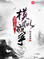 《我的无限模拟战争》小说封面