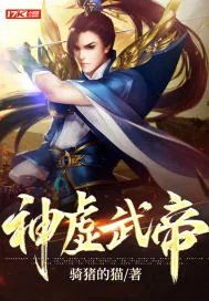 《神虚武帝》小说封面