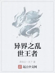 《异界之乱世王者》小说封面