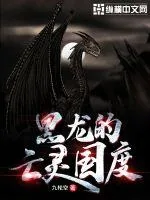 《黑龙的亡灵国度》小说封面