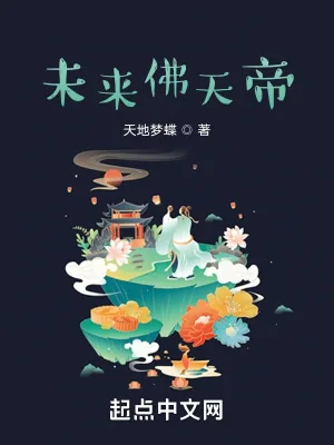 《未来佛天帝》小说封面