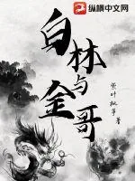 《白林与金哥》小说封面