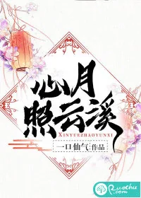 《心月照云溪》小说封面