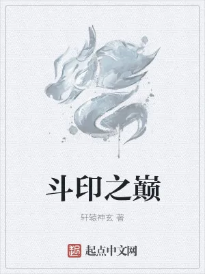 《斗印之巅》小说封面