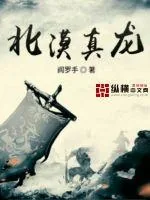 《北漠真龙》小说封面