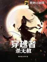 《穿越者杀无赦》小说封面