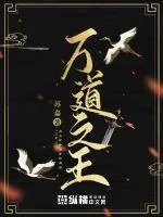 《万道之王》小说封面
