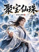 《聚宝仙珠》小说封面