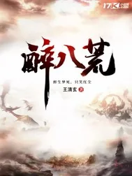 《醉八荒》小说封面