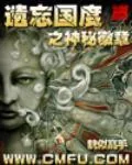 《遗忘国度之神秘徽章》小说封面