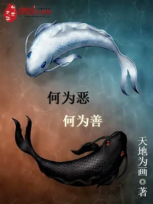 《何为恶何为善》小说封面