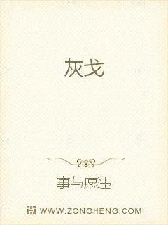 《灰戈》小说封面
