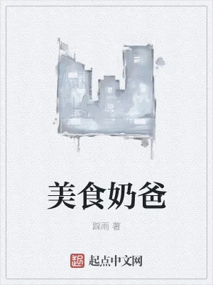 《美食奶爸》小说封面