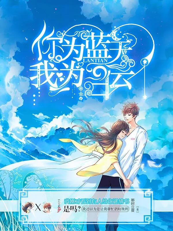 《你为蓝天我为白云》小说封面