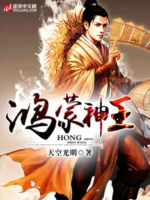 《鸿蒙神王》小说封面