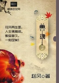 《兽魂师》小说封面