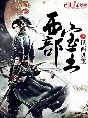 《西部宝王》小说封面