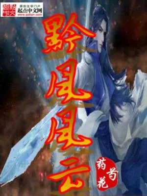 《黔风风云》小说封面