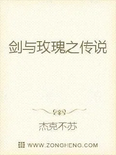 《剑与玫瑰之传奇》小说封面
